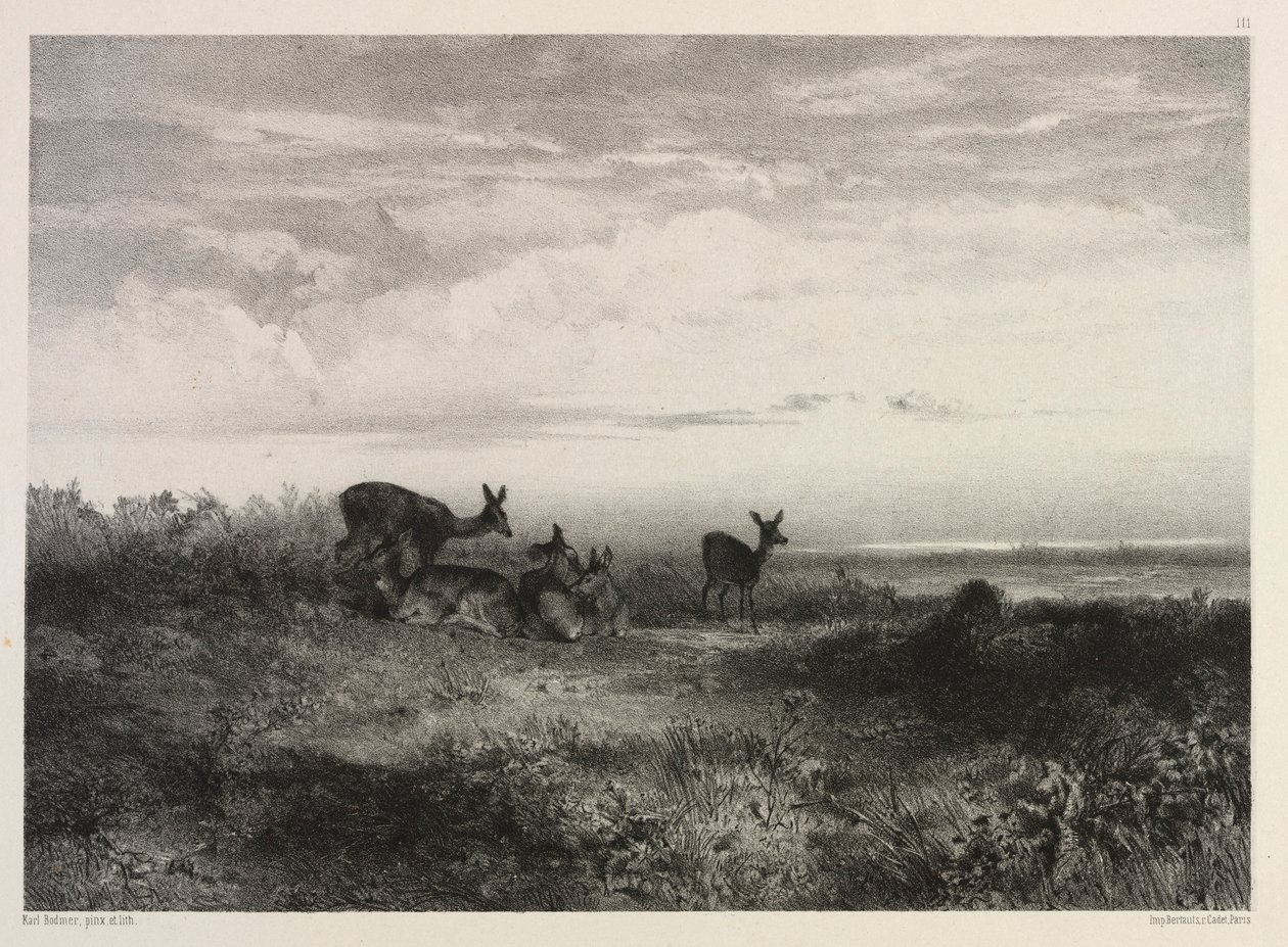 与鹿同行c。 1840年。 作者 卡尔·博德默