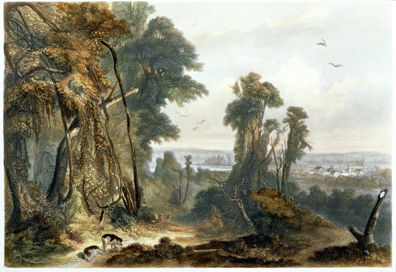 Wabash的新和谐，来自“北美内陆旅行”第2卷的第2版，由Lucas Weber雕刻，1844年（aquatint） 作者 卡尔·博德默