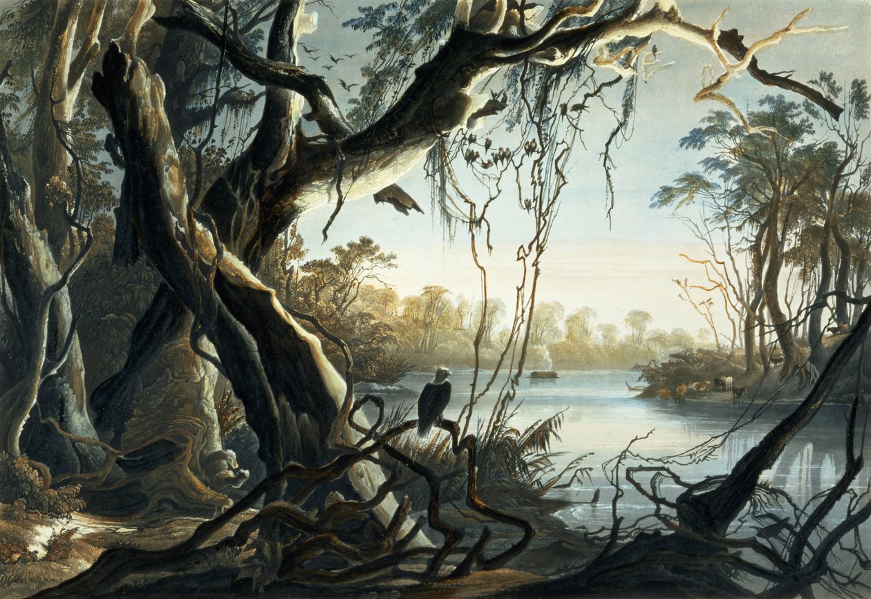 印第安纳州福克斯河口，“北美洲内陆旅行”第2卷第5版，由Sigismond Himely（1801-72）1844年刻（aquatint） 作者 卡尔·博德默