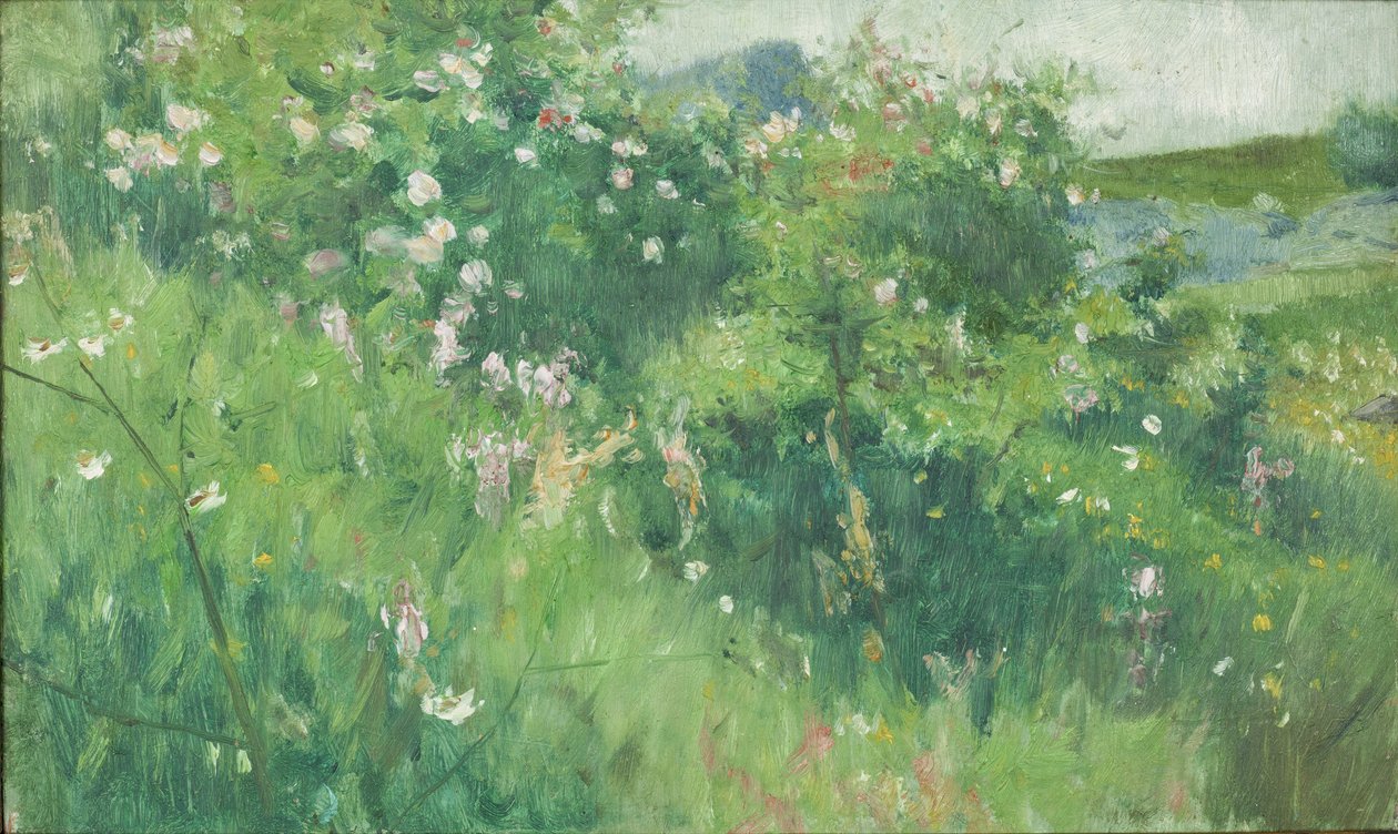 Briar-Rose灌木丛在Tjörn岛上开花 作者 卡尔·弗雷德里克·诺德斯特伦