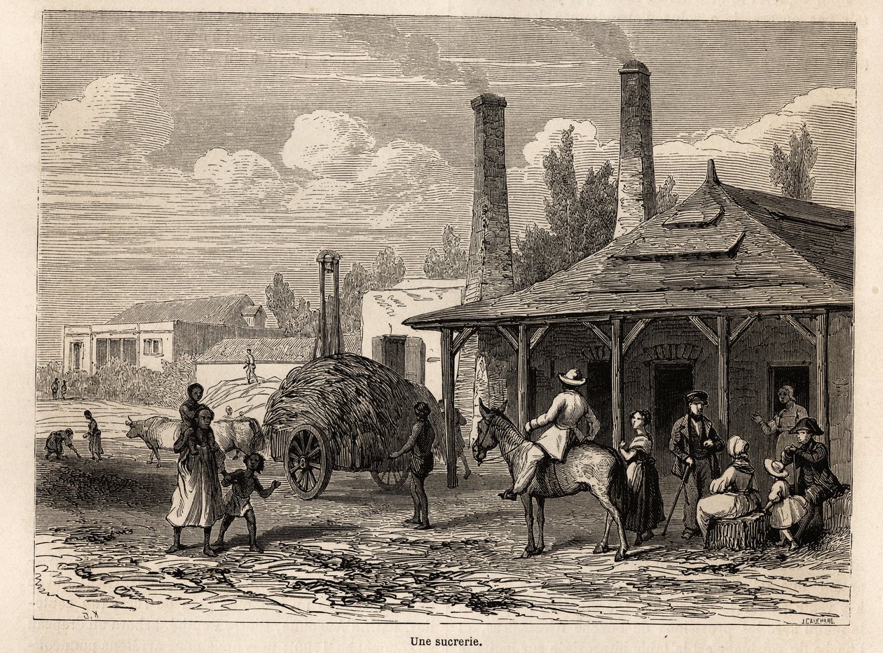 毛里求斯Riviere du Rempart的一家制糖厂，由Karl Girardet（1813-1871）绘制，用于说明Alfred Verney 1861年在毛里求斯的逗留。雕刻在《世界之旅》中，由Edouard Charton编辑。 作者 卡尔·吉拉德（Karl Girardet）