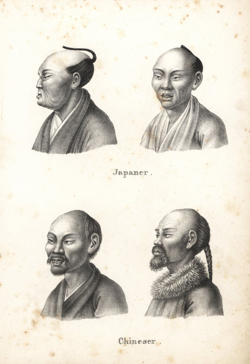 其中有留着头髻发型的日本男性半身像，以及留着胡须的中国男性半身像，其中一尊留着辫子。 卡尔·约瑟夫·布罗德曼 (Karl Joseph Brodtmann) 的石版画，出自海因里希·鲁道夫·辛茨 (Heinrich Rudolf Schinz) 的《人类与动物自然史插图》 作者 卡尔·约瑟夫·布罗特曼