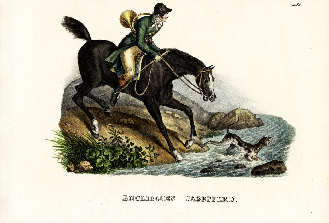 英国猎人马，1824年 作者 卡尔·约瑟夫·布罗特曼