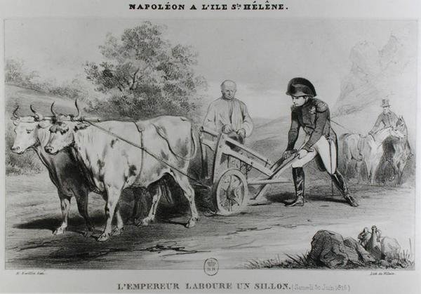 拿破仑（1769-1821）在圣赫勒拿岛上，由Francois le Villain雕刻（1819-22） 作者 洛伊洛特·哈特维格之后的卡尔