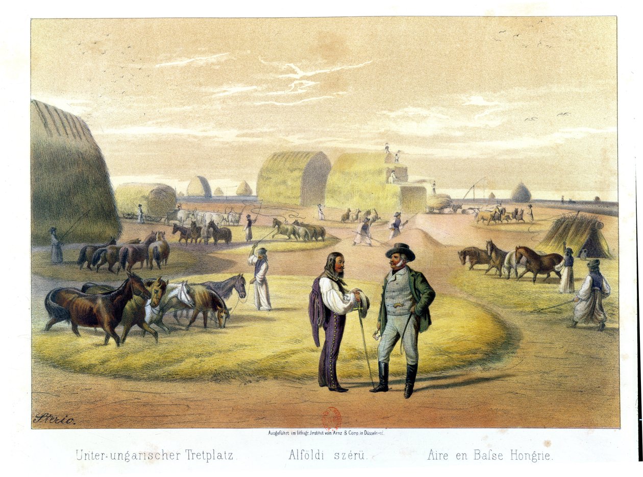 1855年，布达佩斯Baron Pronay的一本书在匈牙利打谷小麦 作者 卡罗莉·斯特里奥（Karoly Sterio）