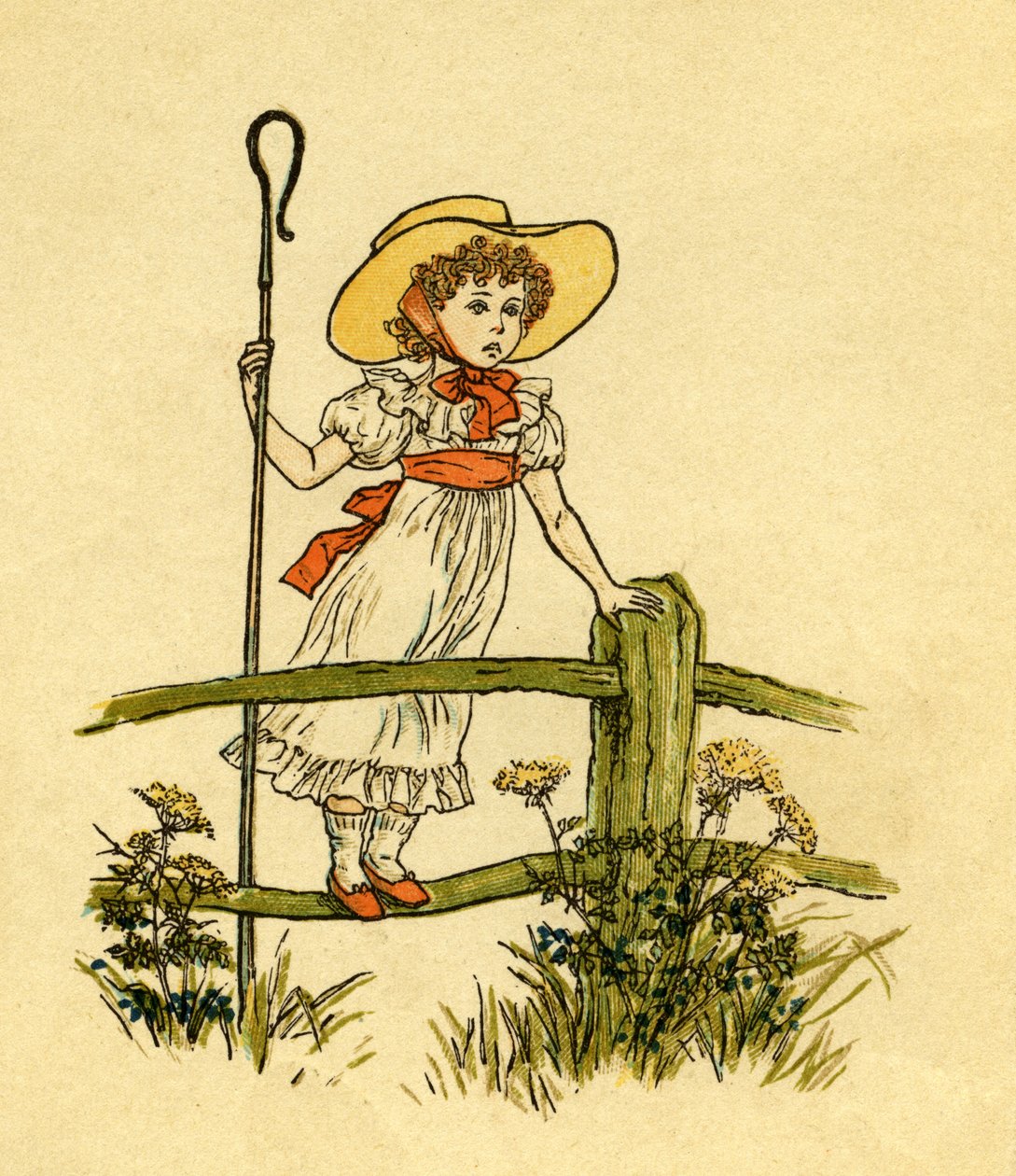 小波普失去了 作者 凯特·格林威（Kate Greenaway）