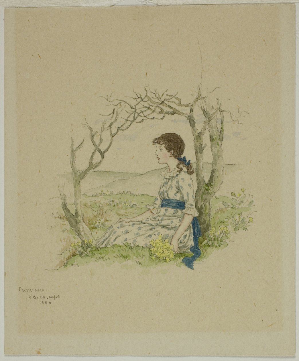 带报春花的坐着的女孩 作者 凯特·格林威（Kate Greenaway）