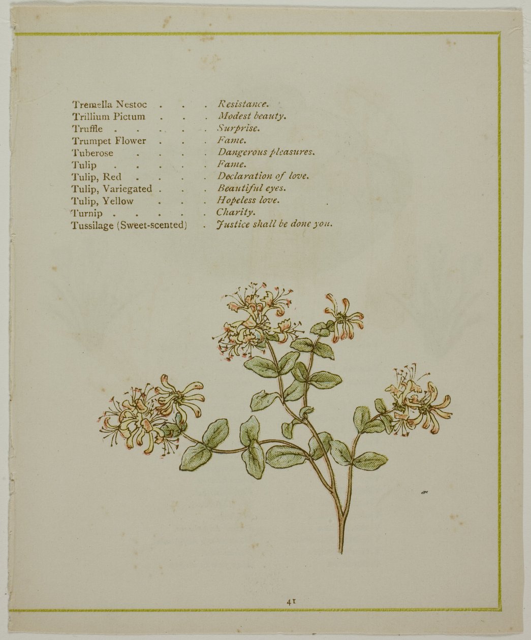 缬草与沃尔卡缅尼亚，选自《图解花语 作者 凯特·格林威（Kate Greenaway）