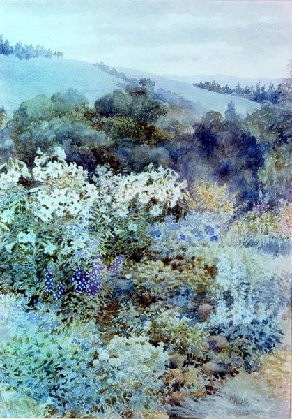 在南非的花园里，约1900-10（水彩）。 作者 凯特·海斯（Kate Haith）