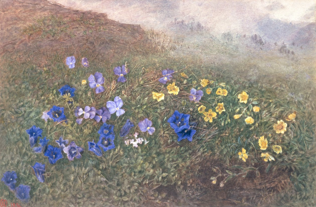 春山花，1896年 作者 凯特（Kate），1873年，作品96古德温