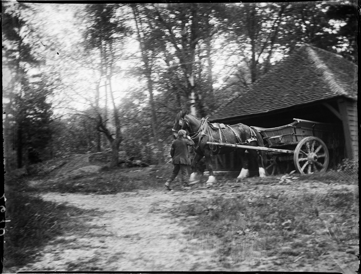 格鲁姆布里奇 (Groombridge)，斯佩尔德赫斯特 (Speldhurst)，肯特郡坦布里奇韦尔斯 (Tunbridge Wells)，1911 年 5 月 20 日（黑白照片） 作者 凯瑟琳·让·麦克菲