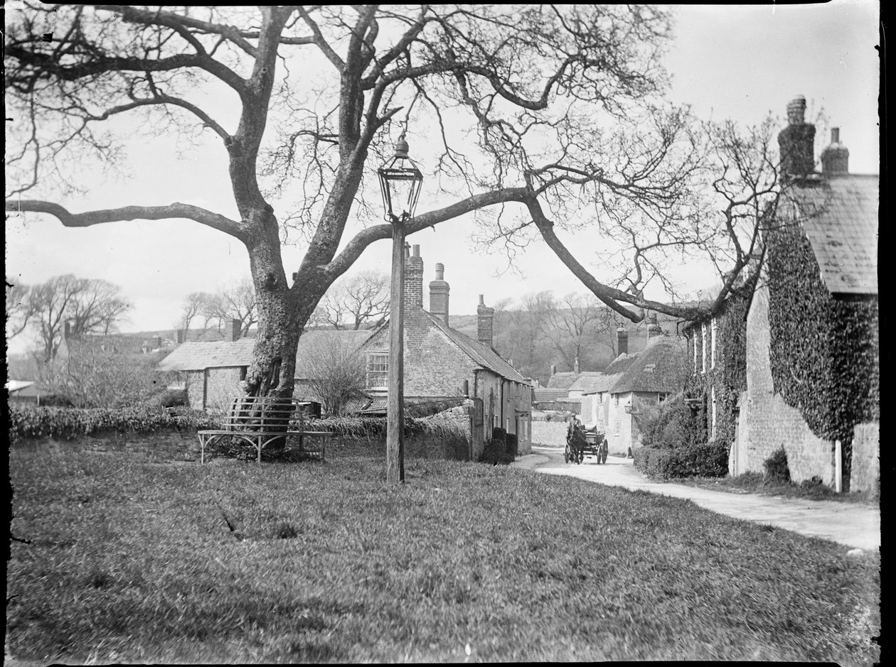 Village Green，伯顿布拉德斯托克，多塞特郡，1922年4月24日至1922年5月8日（黑白照片） 作者 凯瑟琳·让·麦克菲