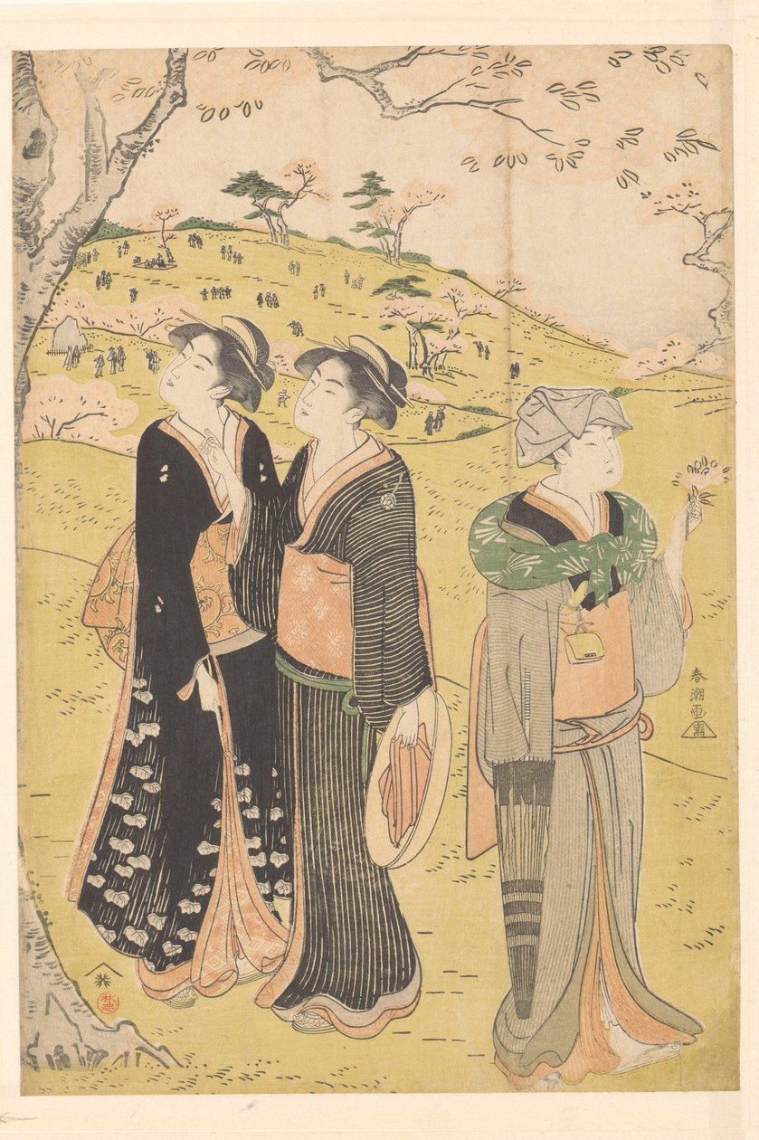 在旭冈山欣赏樱花 作者 胜川俊町