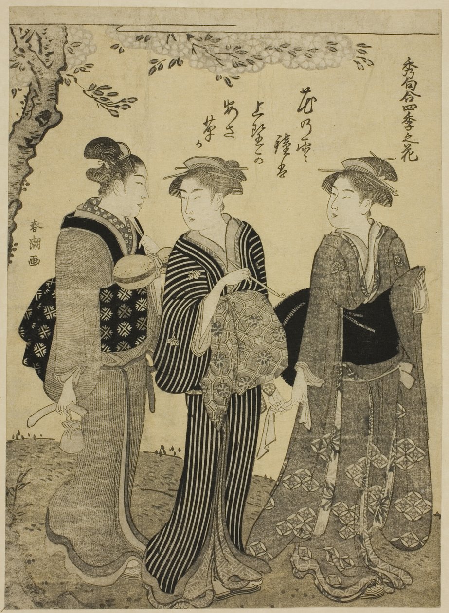 春天的樱花，选自 "四季花卉吟诵 "系列 作者 胜川俊町