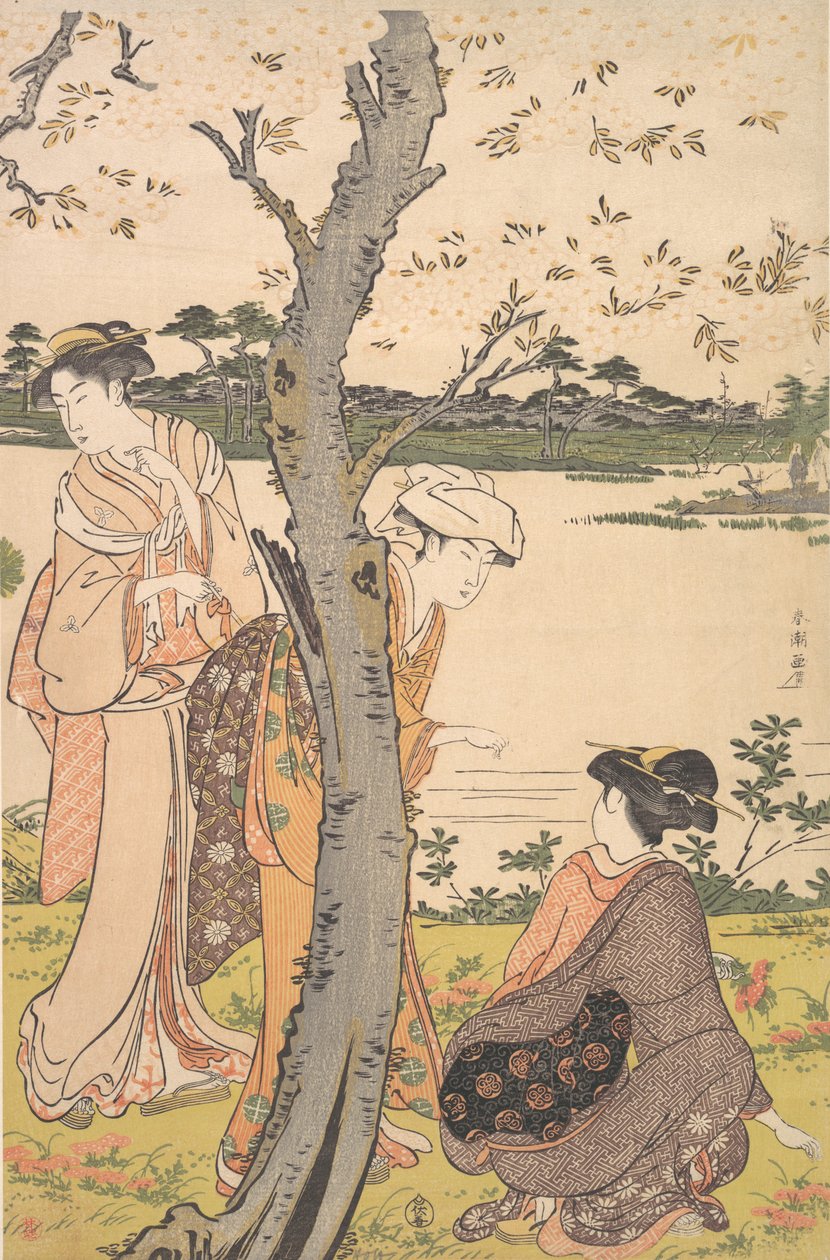 采集年轻的花朵，18世纪末。 作者 胜川俊町