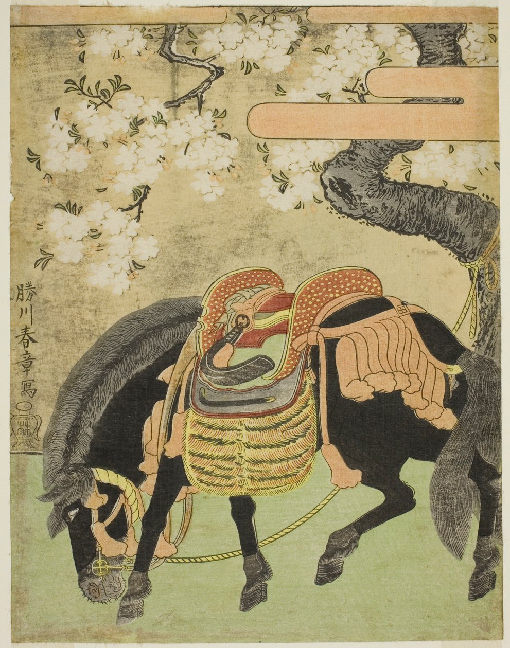 樱花树下拴着的黑马 作者 胜川俊章