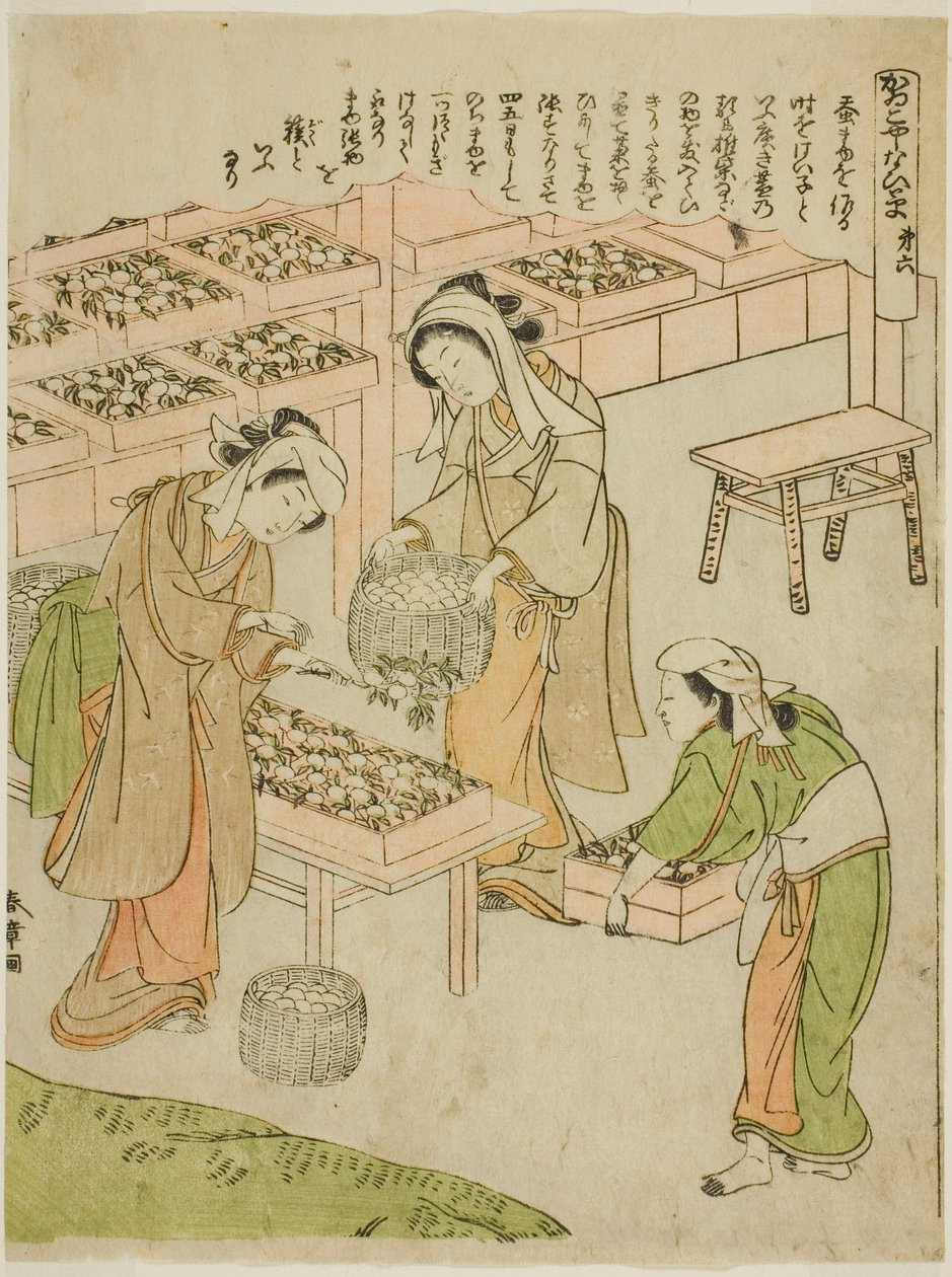 图版 6（检查新纺的蚕茧），选自 "Kaiko Yashinai-gusa "系列 作者 胜川俊章