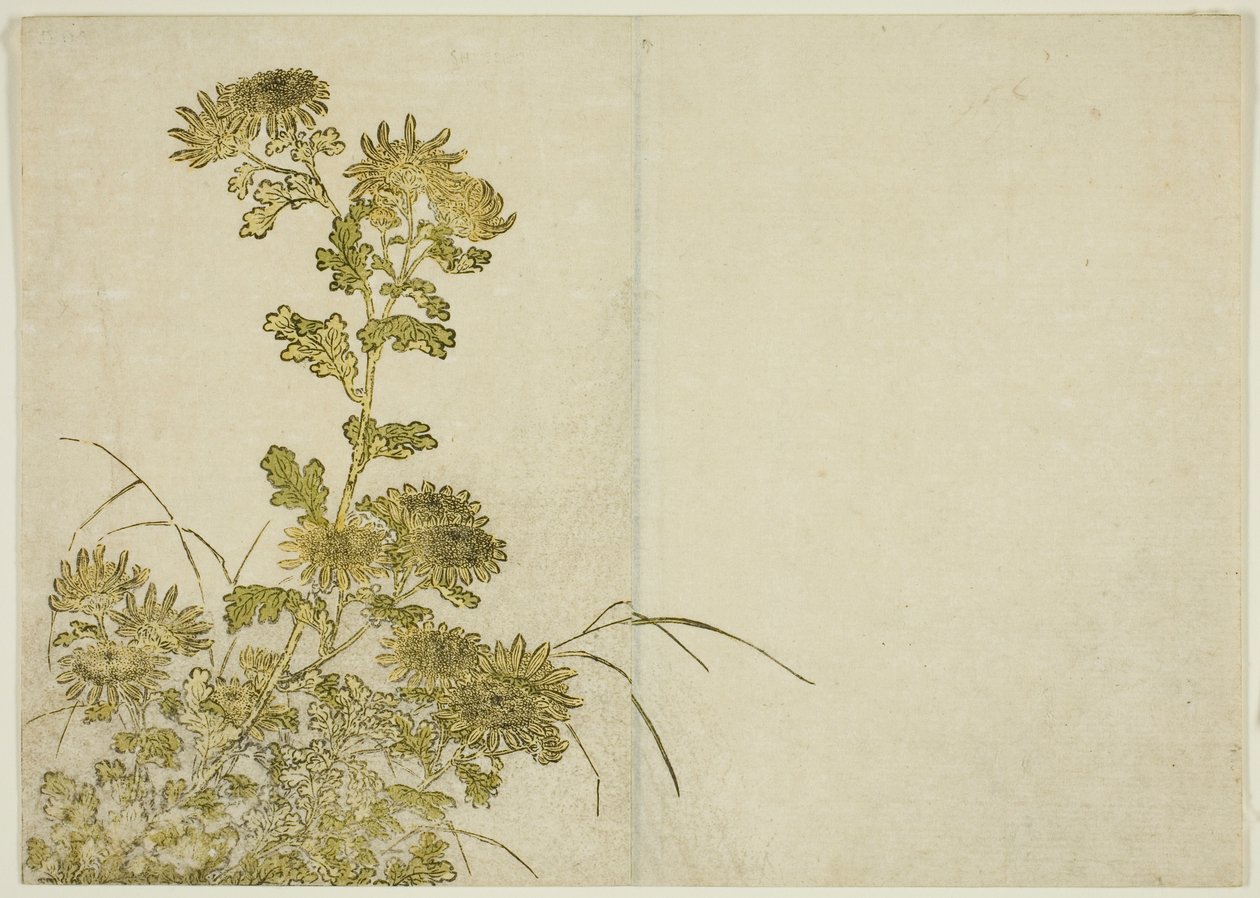 冬花：菊花，选自《妓院美女镜》第 1 卷。 作者 胜川俊章