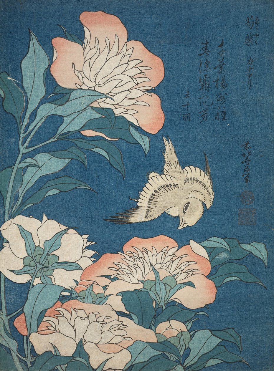 Peonies和Canary（Shakuyaku，kanaari），来自一个名为Small Flowers的无名系列 作者 葛饰北斋
