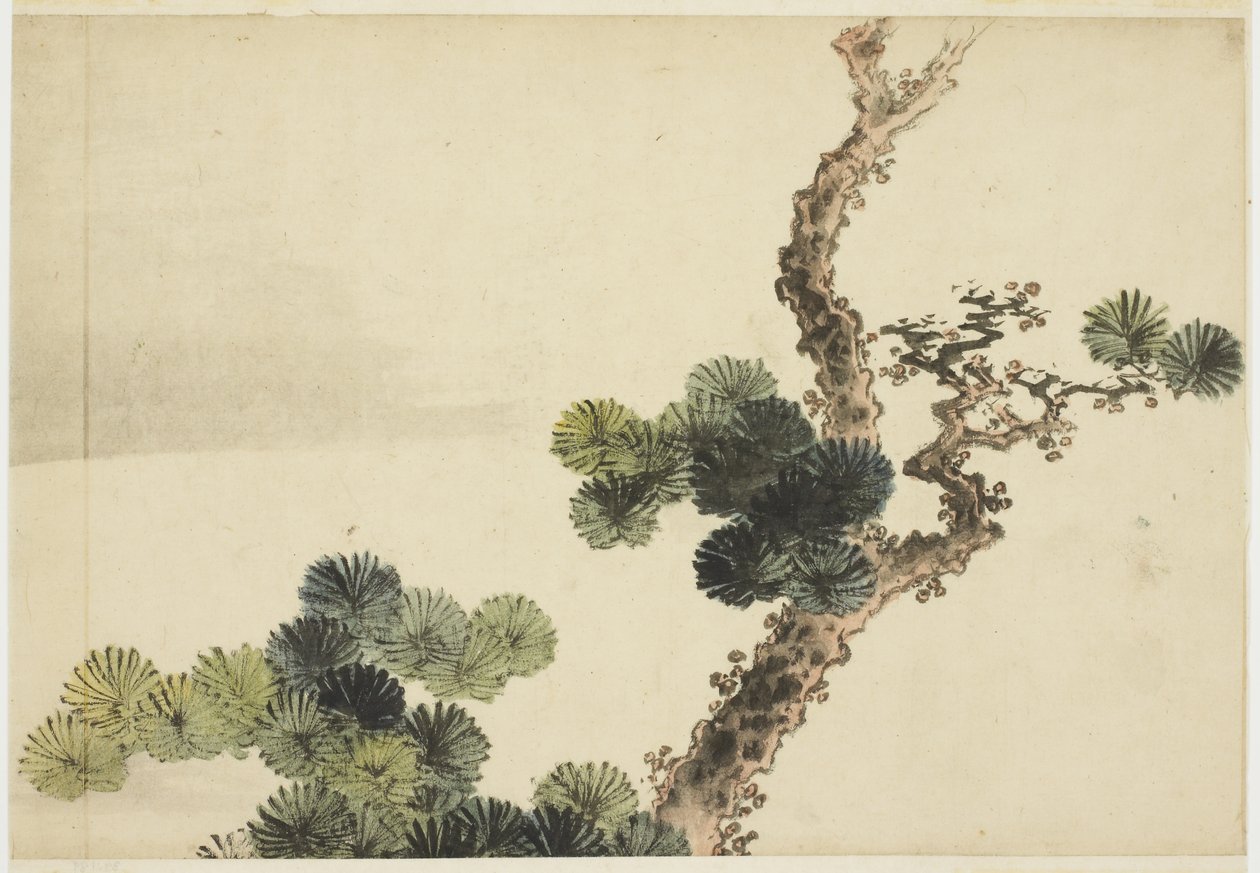 松枝 作者 北斋葛饰（学校）