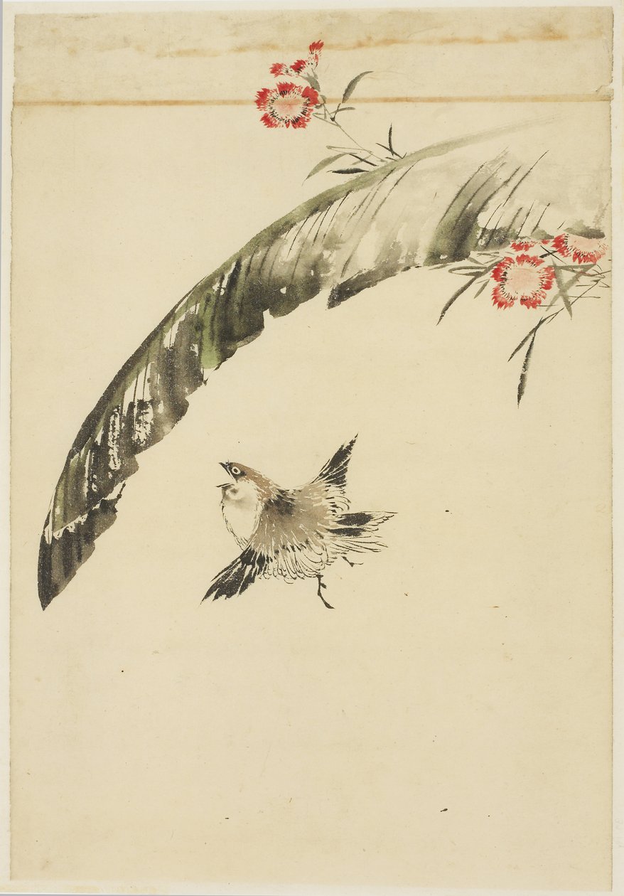 麻雀和香蕉叶和粉红色，1615-1868年（纸上的墨水和颜色） 作者 北斋葛饰（学校）
