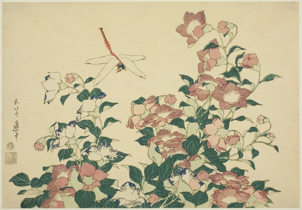 钟花与蜻蜓》，选自无题大花系列 作者 葛饰北斋