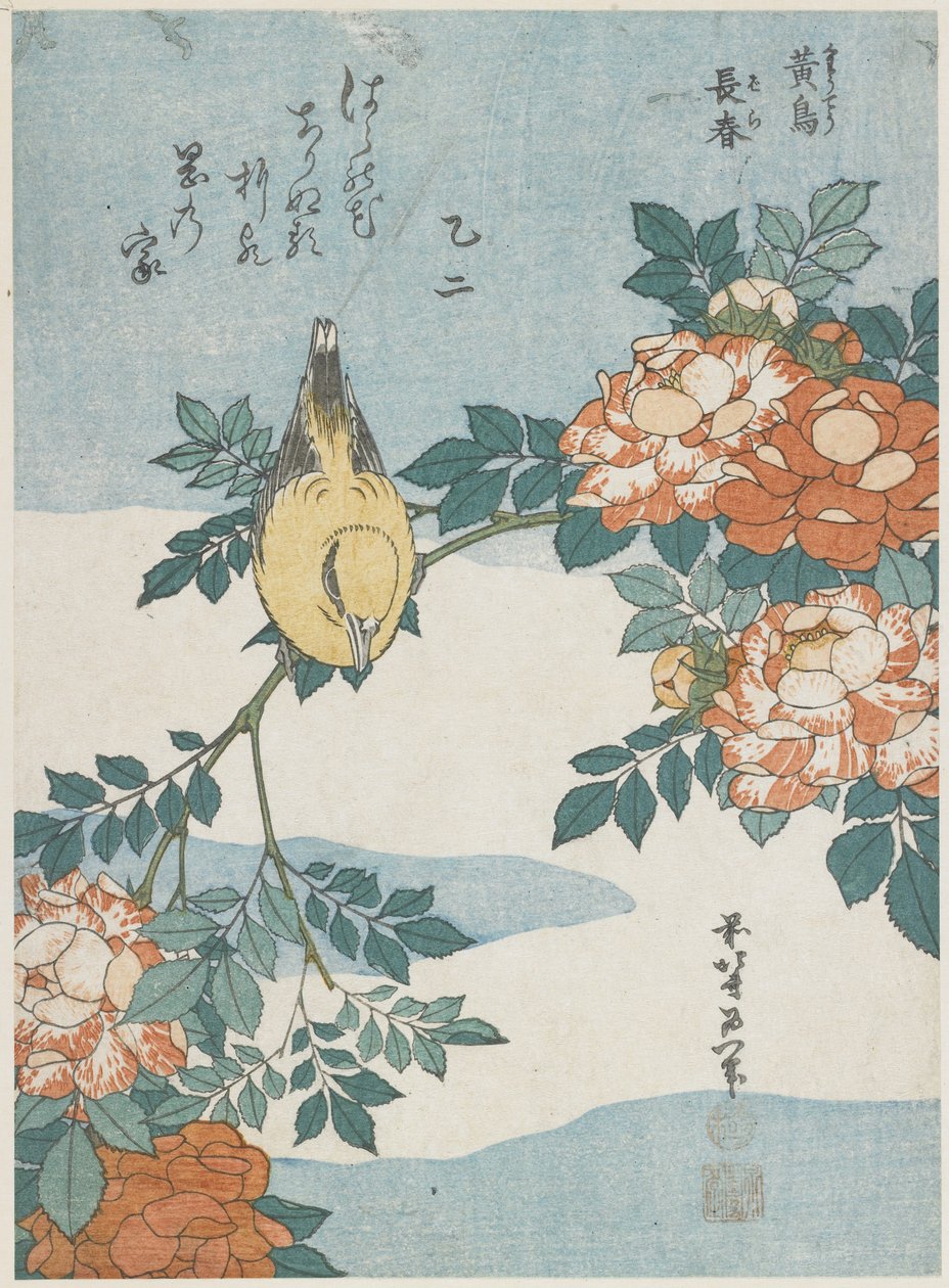 Black-Naped Oriole和China Rose，c。 1833 作者 葛饰北斋