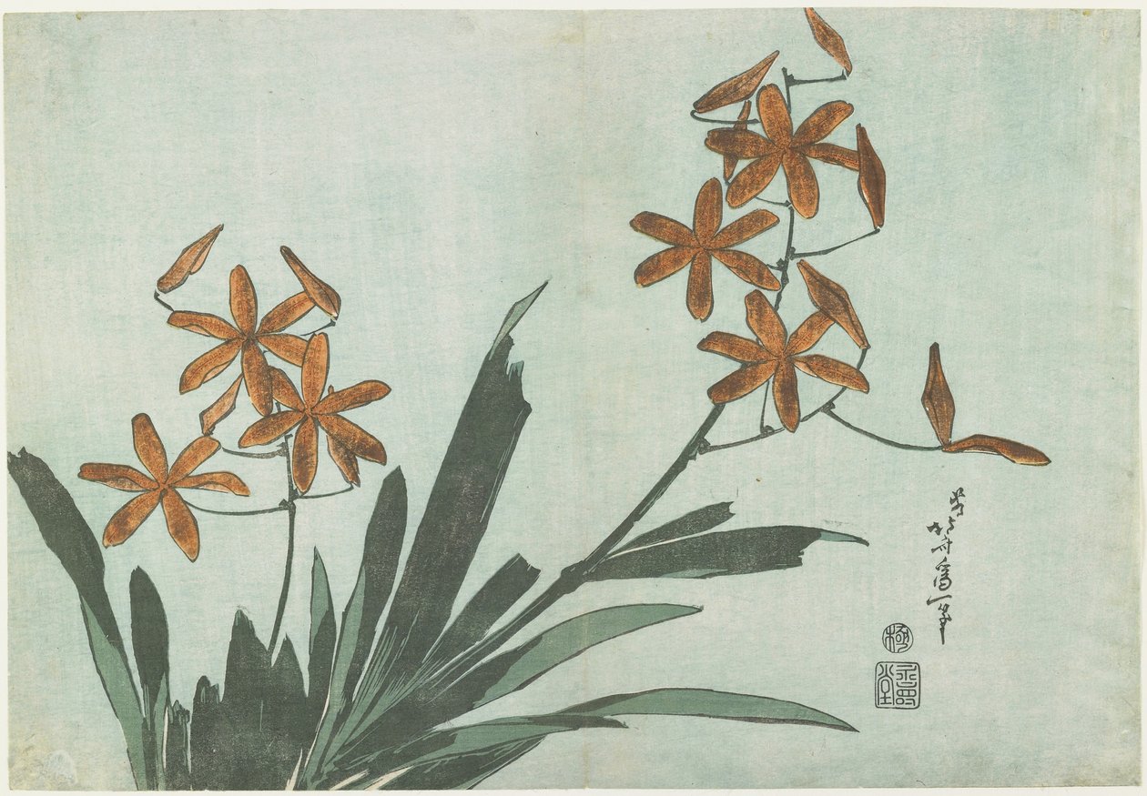 黑莓百合，c。 1832 作者 葛饰北斋