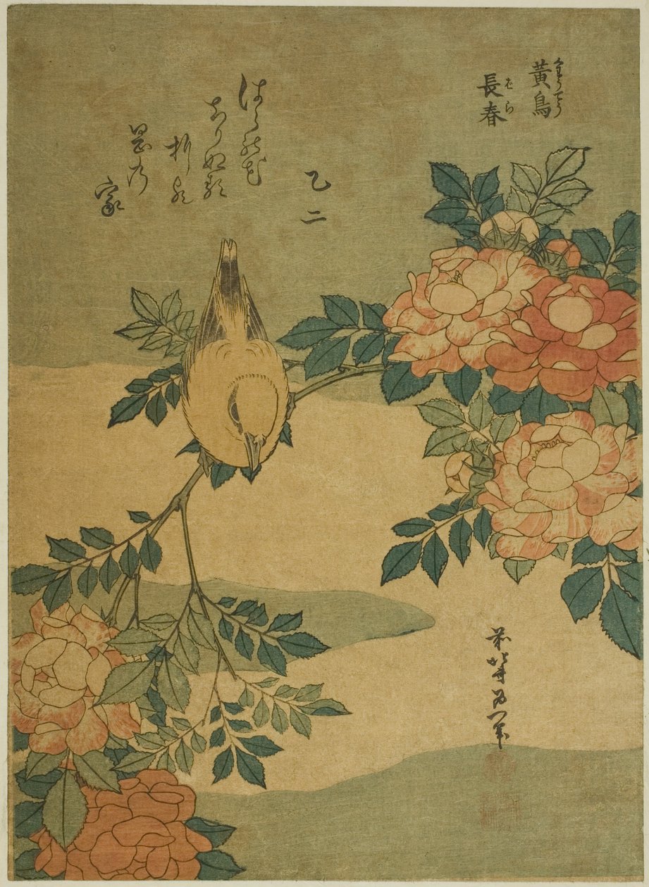 丛林莺和玫瑰（Kocho，bara），选自无标题花鸟系列 作者 葛饰北斋