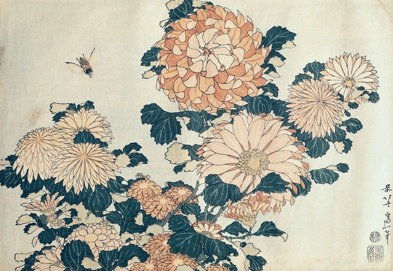 菊花（彩色木版画） 作者 葛饰北斋