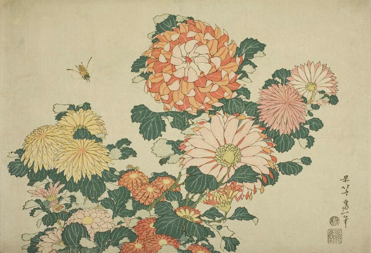 菊花和蜜蜂，出自一系列无题的大花，约1833-34年 作者 葛饰北斋
