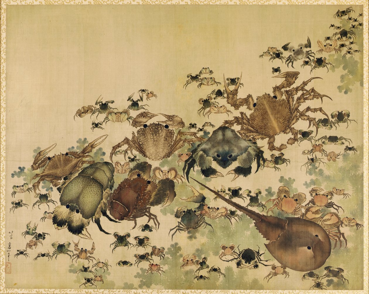甲壳类动物，江户时代c.1825（丝绸上的墨水和颜色） 作者 葛饰北斋
