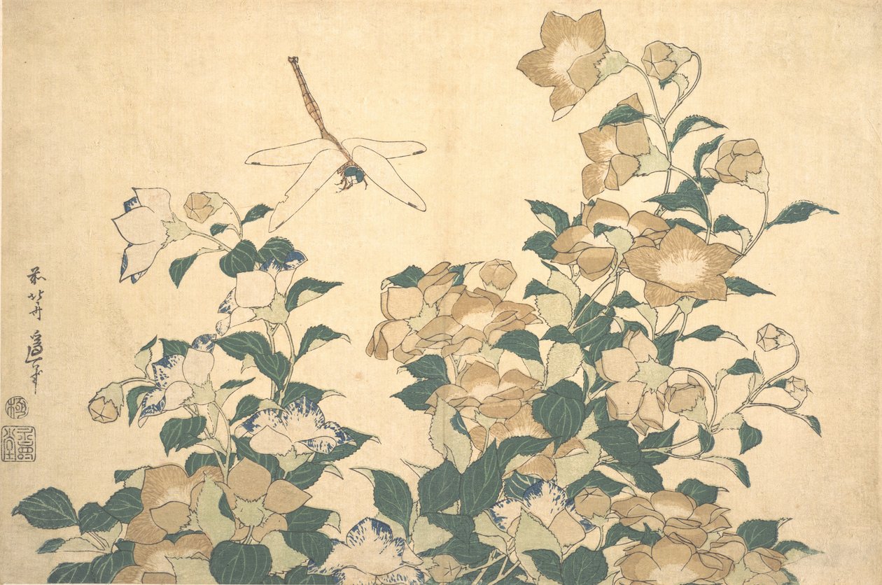 蜻蜓和铃兰花，19世纪20年代末。 作者 葛饰北斋