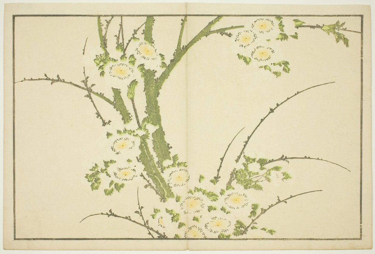 花，选自《北斋写实画集》（北斋写真集） 作者 葛饰北斋