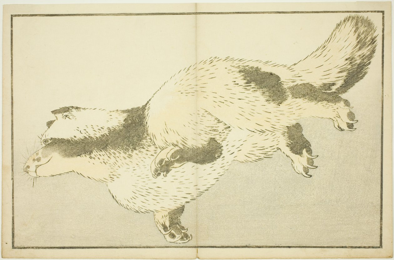 狐狸，选自《北斋写实画集》（北斋写真集） 作者 葛饰北斋