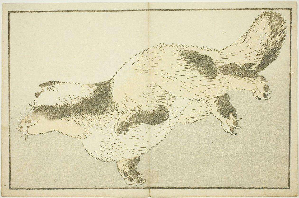 狐狸，摘自《北斋写实画册》（Hokusai shashin gafu）。 作者 葛饰北斋
