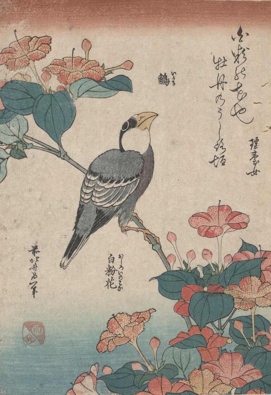 米拉比里斯上的格罗蓓克，选自无标题的《小花》系列 作者 葛饰北斋