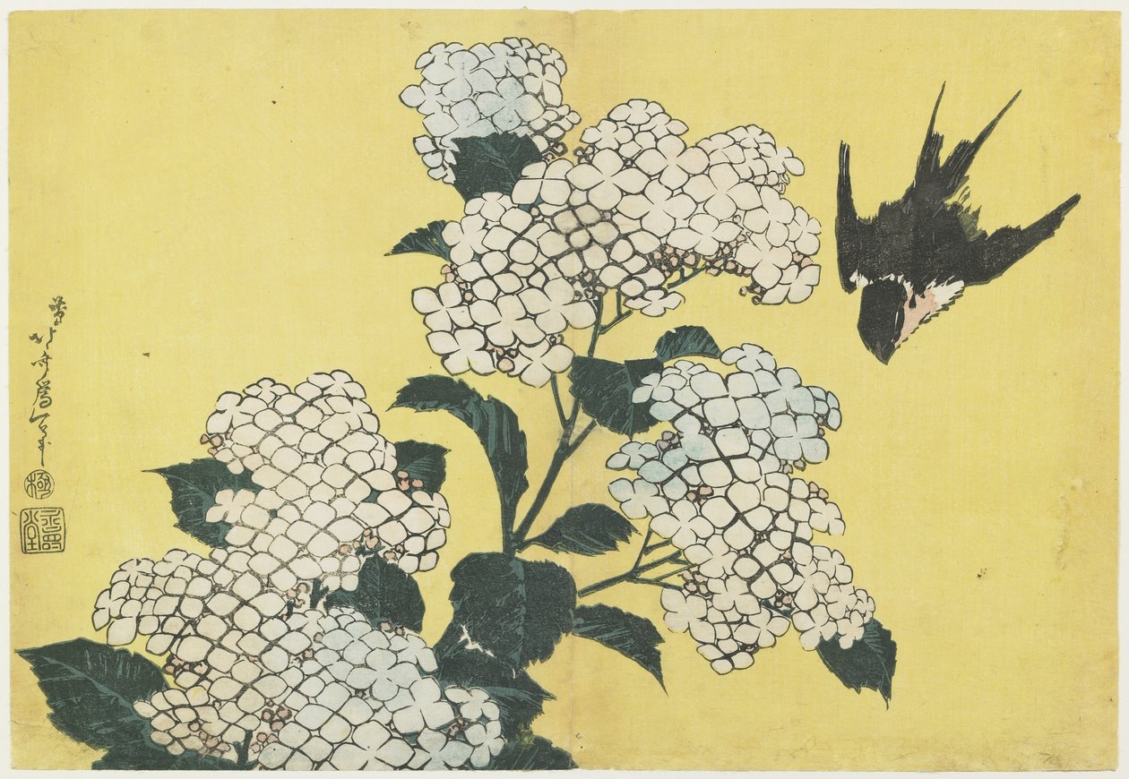绣球花和燕子，c。 1832 作者 葛饰北斋