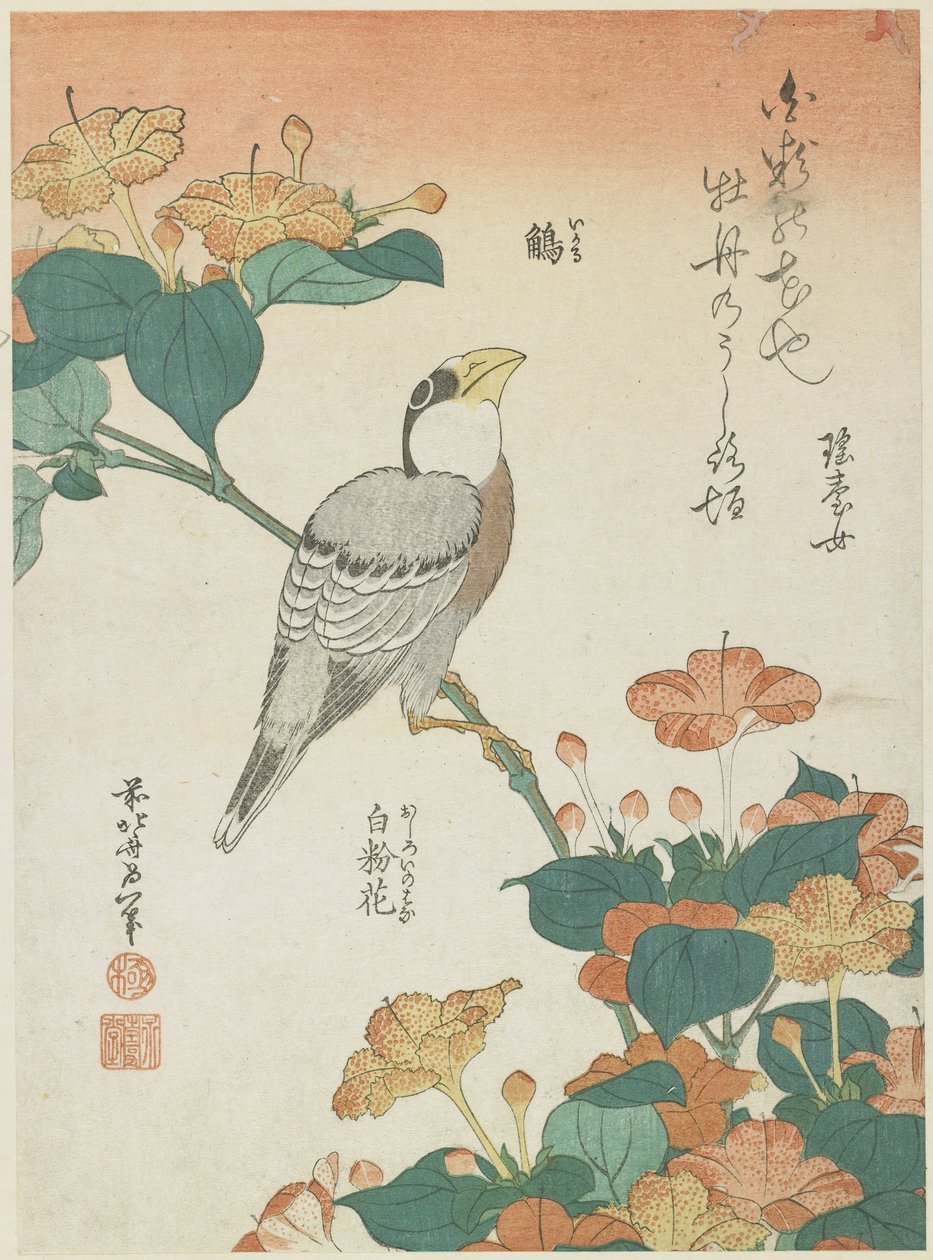 日本的Grosbeak和Four-o&39;cloks，c。 1833 作者 葛饰北斋