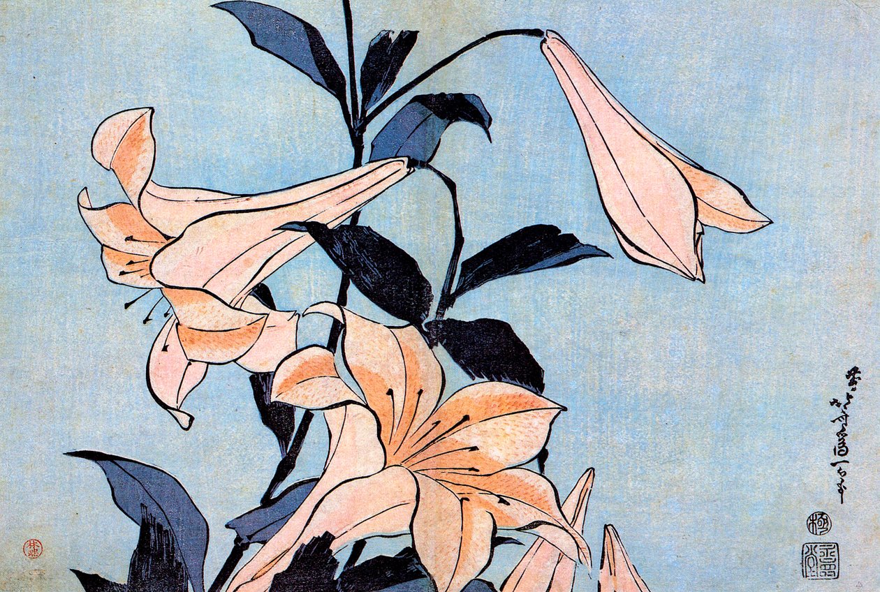百合花，约1830年。   作者 葛饰北斋