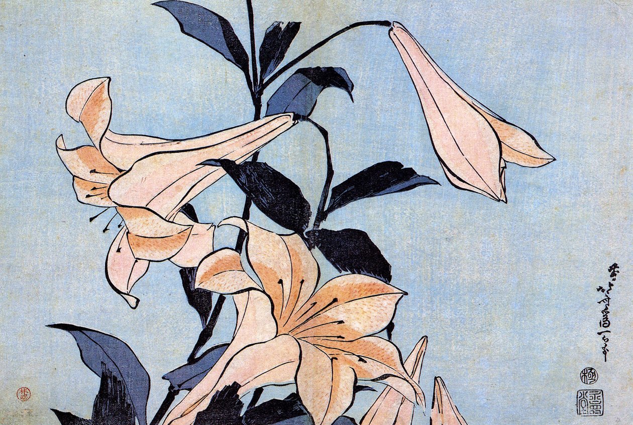 "Lys" Estampe de Katsushika Hokusai (1760-1849) (ecole ukiyo-e) vers 1830 州 A 莫斯科普希金美术博物馆 作者 葛饰北斋