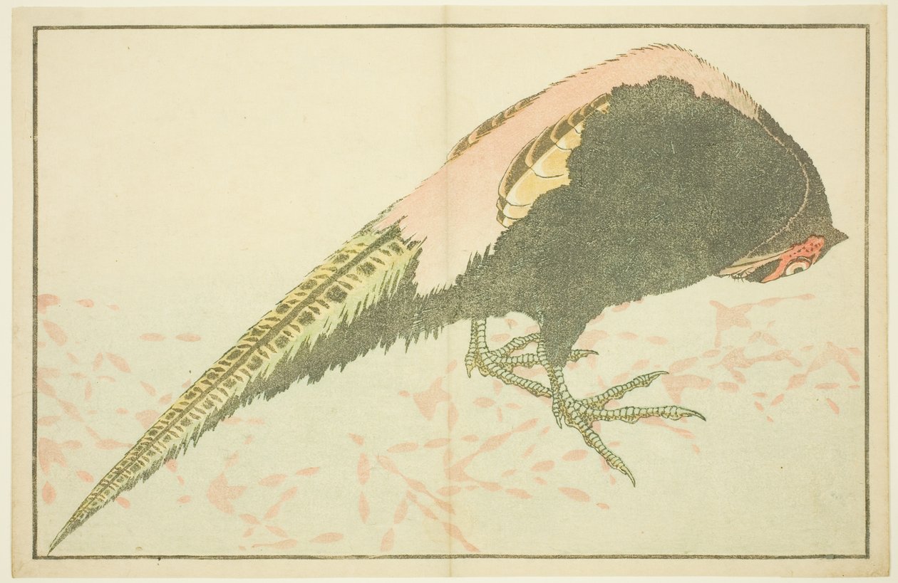雄雉，选自《北斋写实画集》（北斋写真集） 作者 葛饰北斋