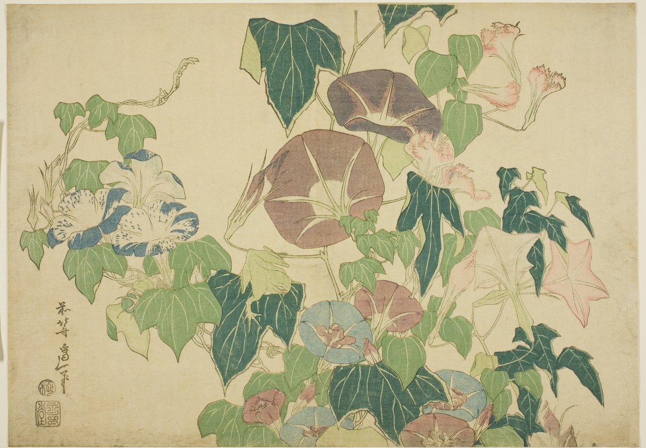 牵牛花和树蛙，选自无标题大花系列 作者 葛饰北斋