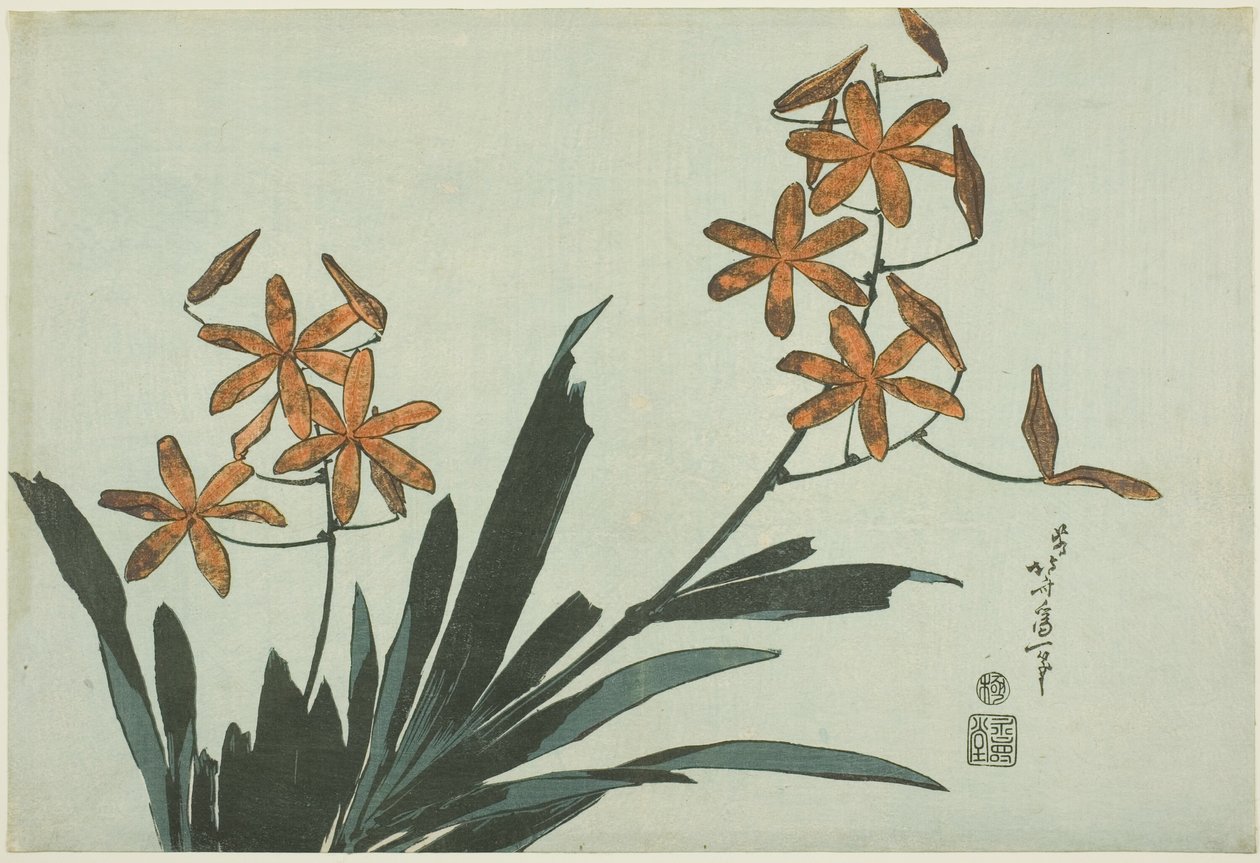 橙色兰花，选自无标题花卉系列 作者 葛饰北斋