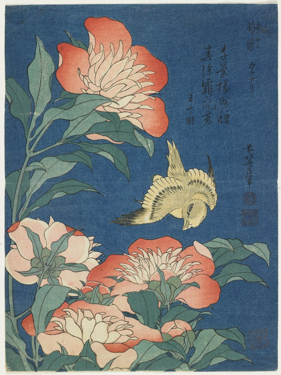 牡丹和金丝雀，c。 1833 作者 葛饰北斋