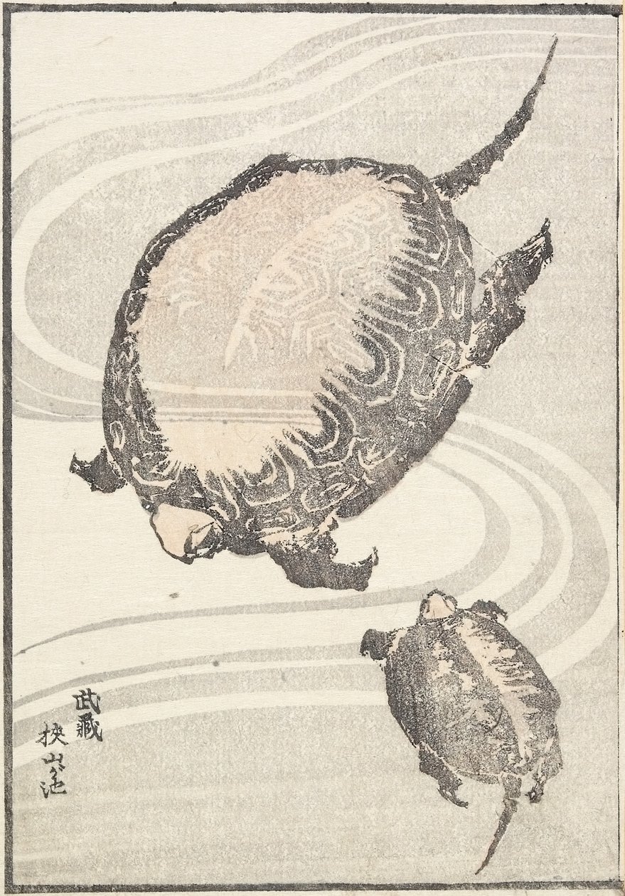 1817年在武藏省的Sayama-ga-ike池塘 作者 葛饰北斋
