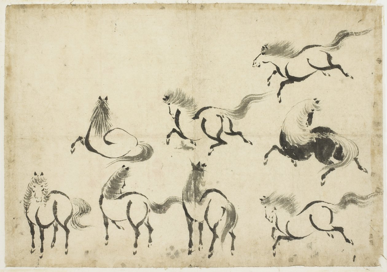 马匹研究，约1815年-1849年（纸上墨水） 作者 葛饰北斋