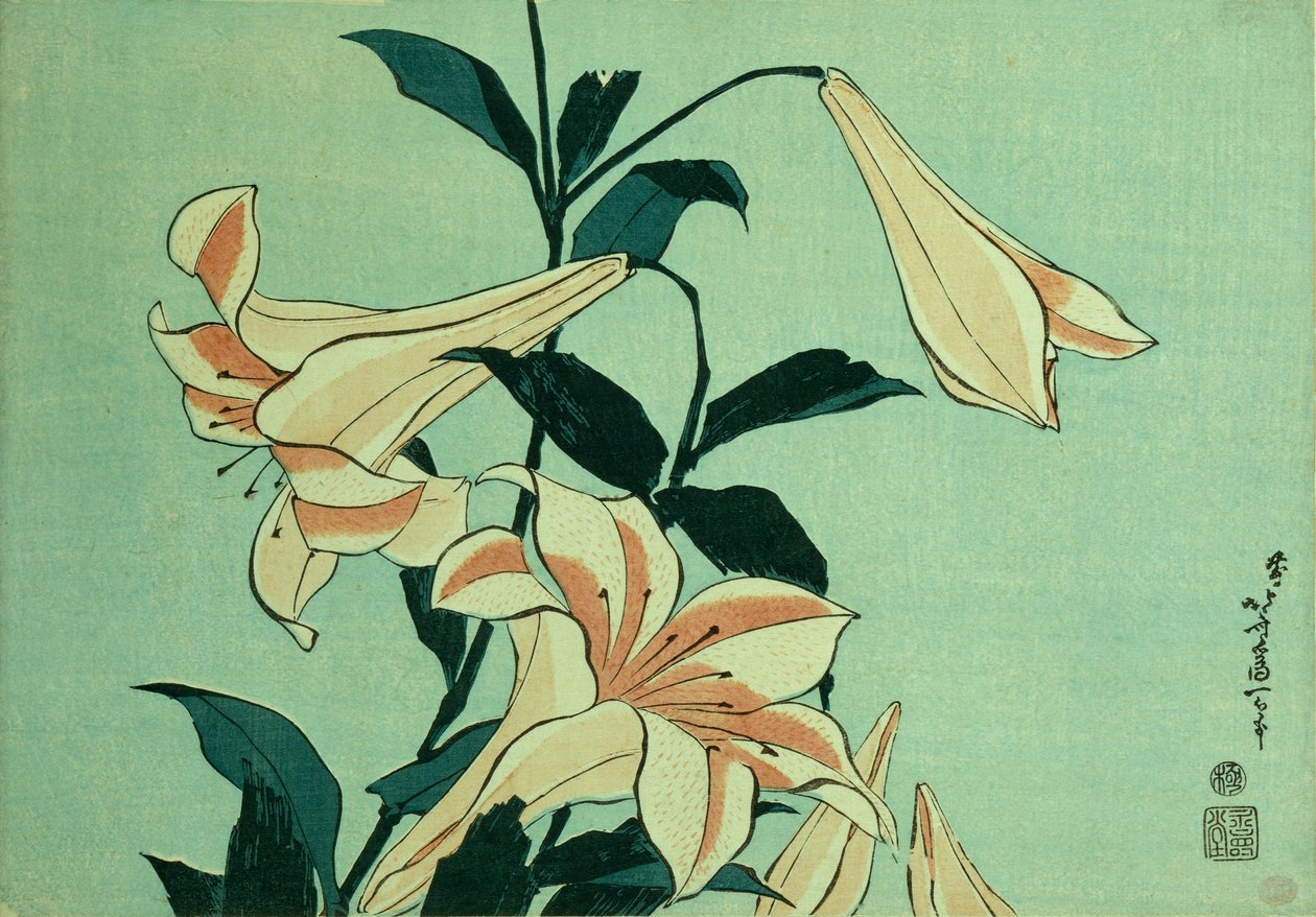 小号百合（彩色木刻版画） 作者 葛饰北斋