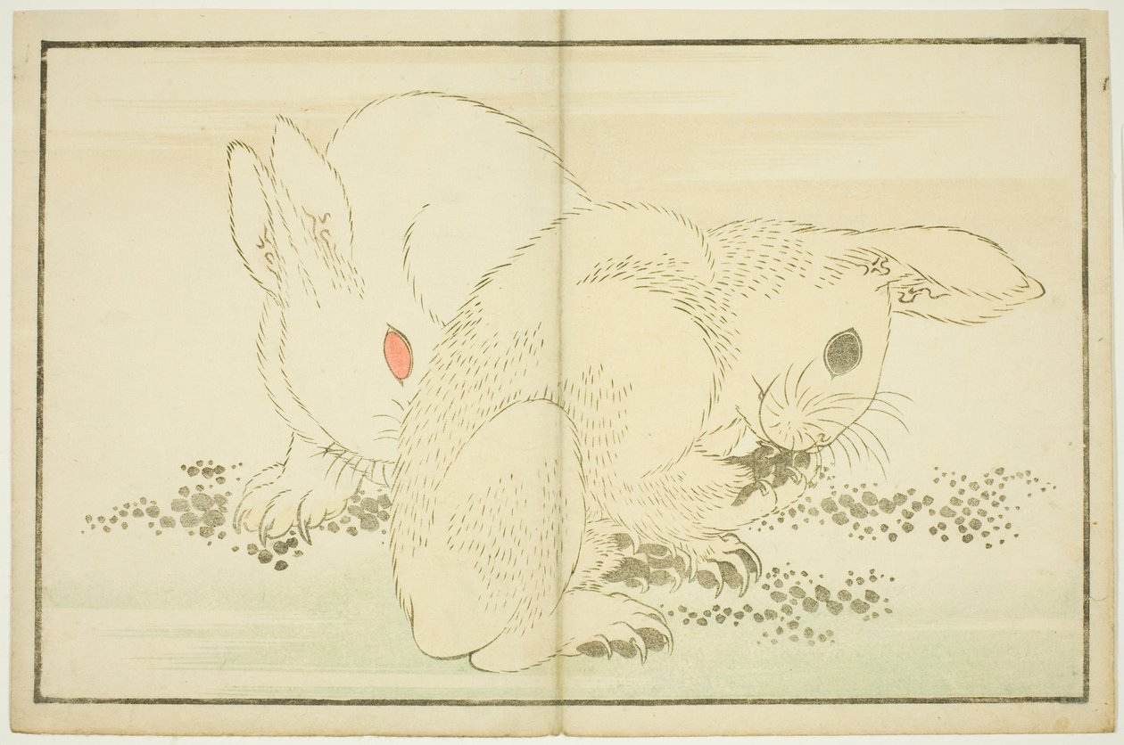 两只兔子，选自《北斋写实画集》（北斋写真集） 作者 葛饰北斋
