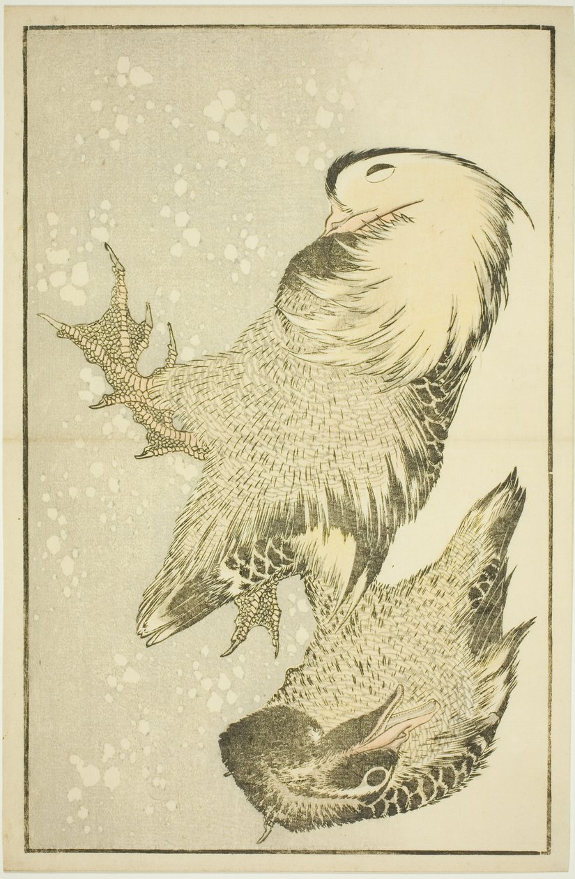 两只水鸟，选自《北斋写实画集》（北斋写真集） 作者 葛饰北斋